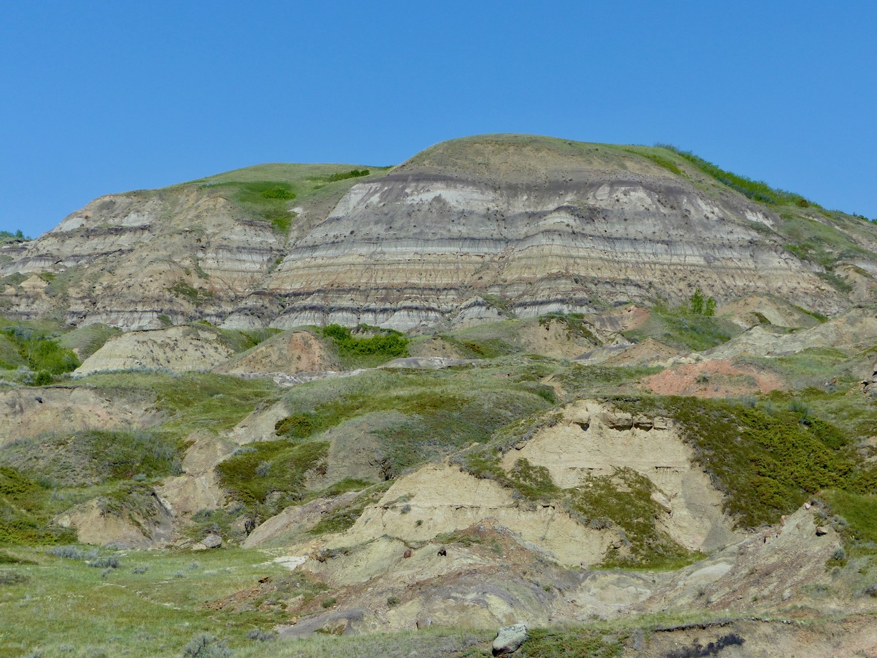 Adventure for Wilderness - Geology and Ground Squirrels at Dry Island Buffalo Jump