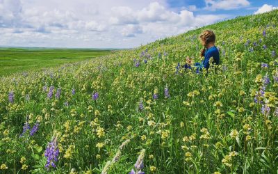 Karina Eustace-Wallis: Keeping Alberta Wildernessy