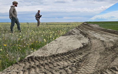 News Release: Taber destroys grasslands, auctions 6 sections for irrigated cropland