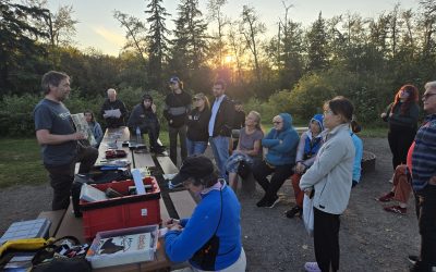 Edmonton Bat Discovery – August 28, 2026